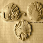 Typical convex and concave shells, and a shell with volutes.
